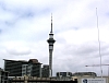 Auckland_3321.jpg