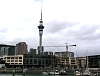 Auckland_3322.jpg