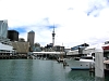 Auckland_3328.jpg