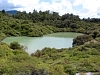 Rotorua_3652.jpg