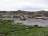 Alberta-Dinosau-muserum-073