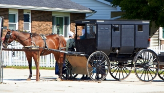 Amish-Indiana-037