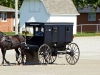 Amish-Indiana-031