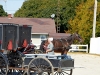 Amish-Indiana-038