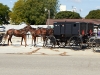 Amish-Indiana-039