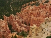 Bryce-Canyon-098