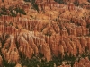 Bryce-Canyon-107