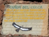 Colca-Canyen-condor-1-007