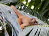 Capuchin-monkey-096