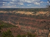Grand-Canyon-nord-058