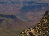 Grand-Canyon-nord-091