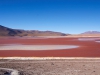 Laguna_rute_Bolivia__2015-180.jpg