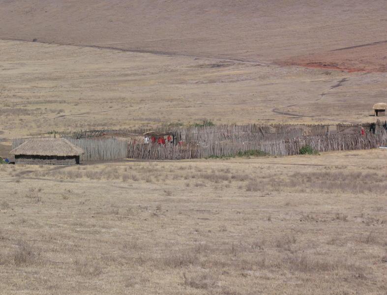 Ngorongoro_1297