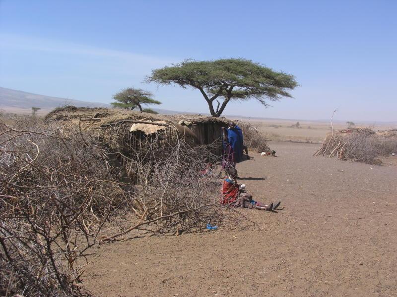 Ngorongoro_1319