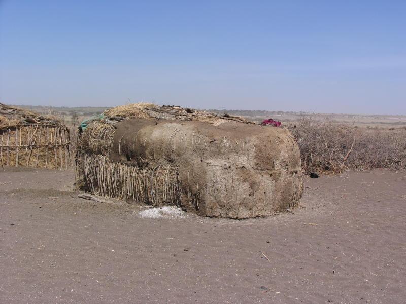 Ngorongoro_1321