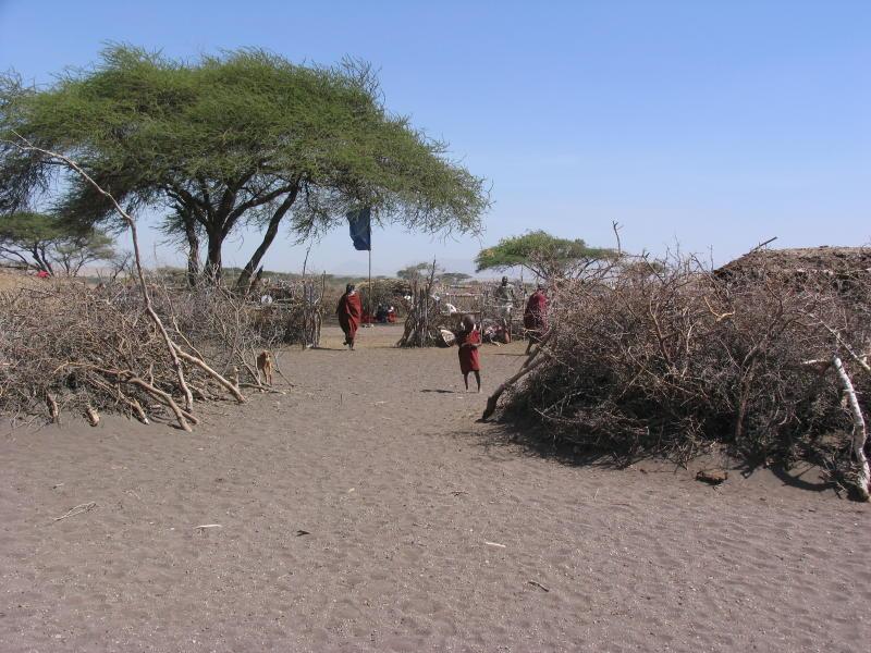 Ngorongoro_1322