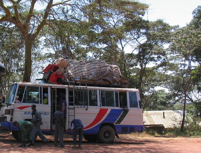 Ngorongoro_1195