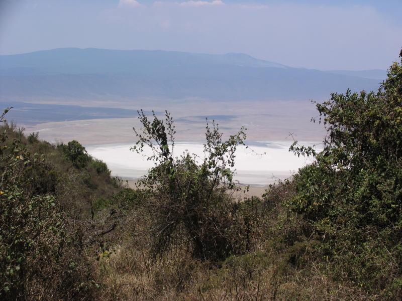 Ngorongoro_1204