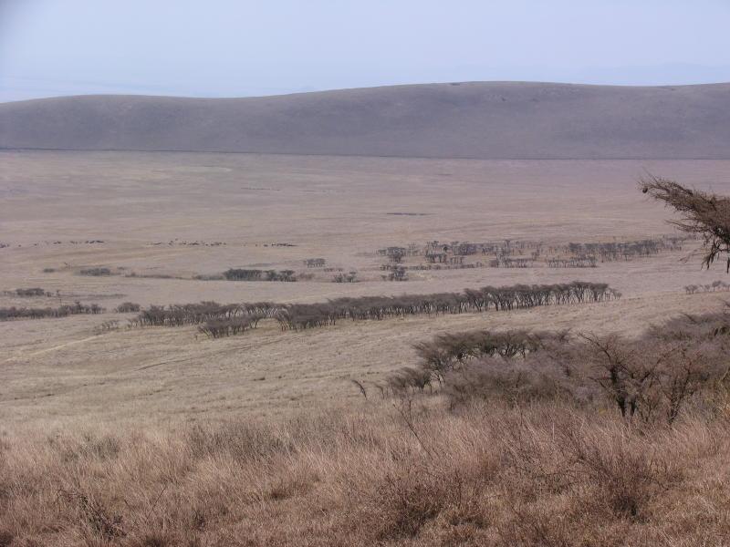 Ngorongoro_1215