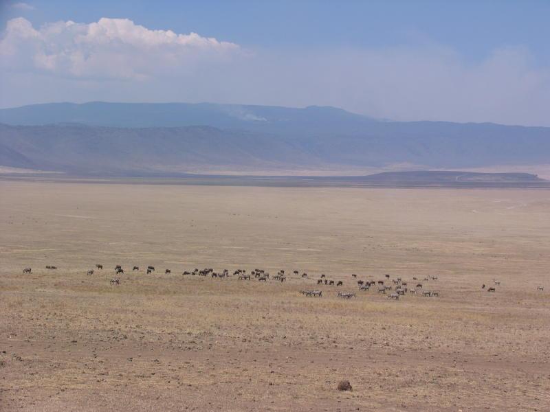 Ngorongoro_1223