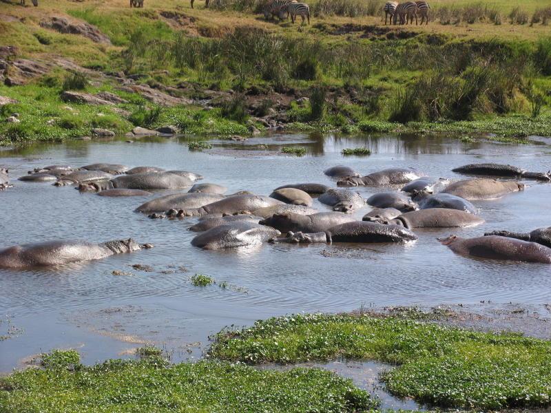 Ngorongoro_1254