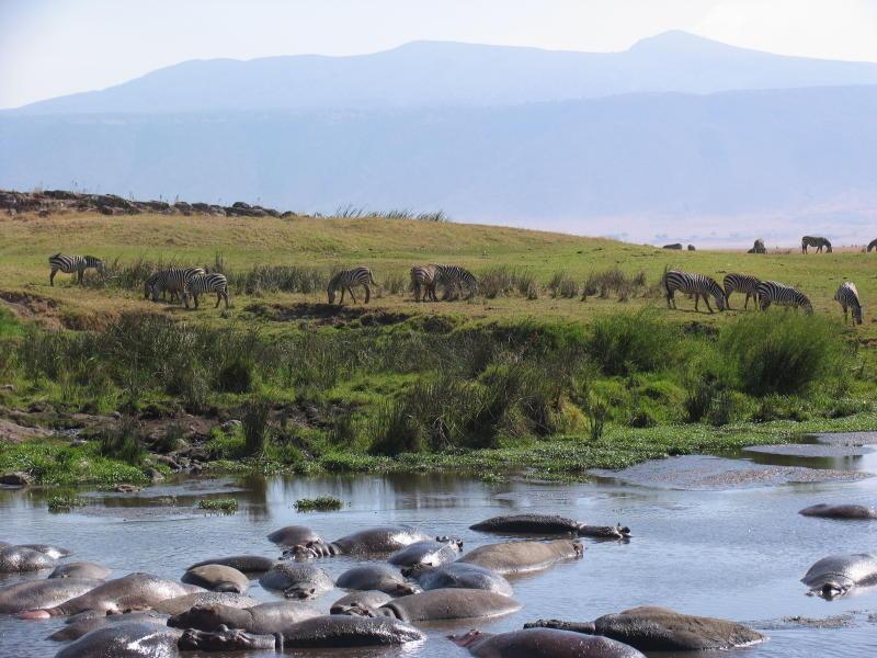 Ngorongoro_1256