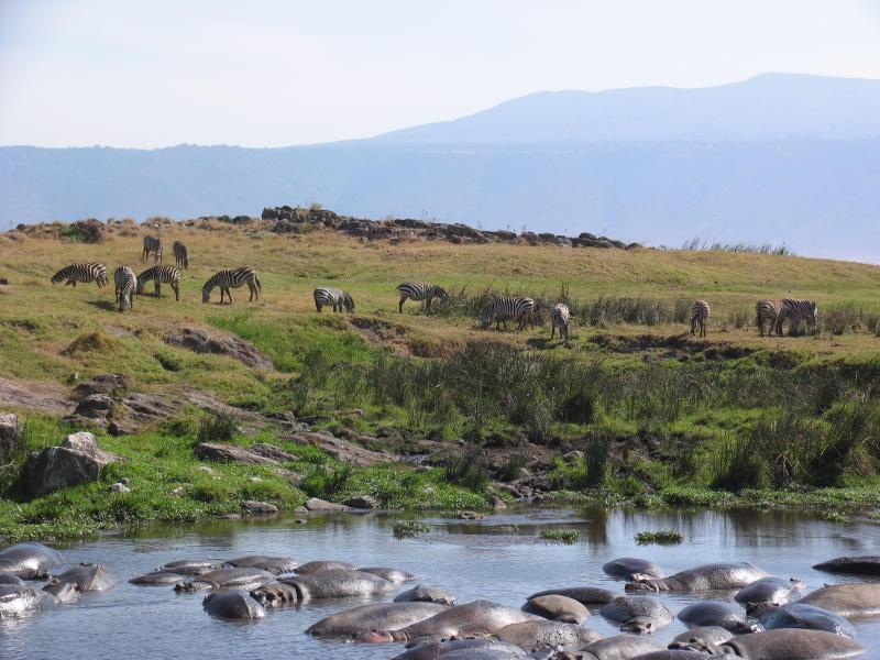 Ngorongoro_1257