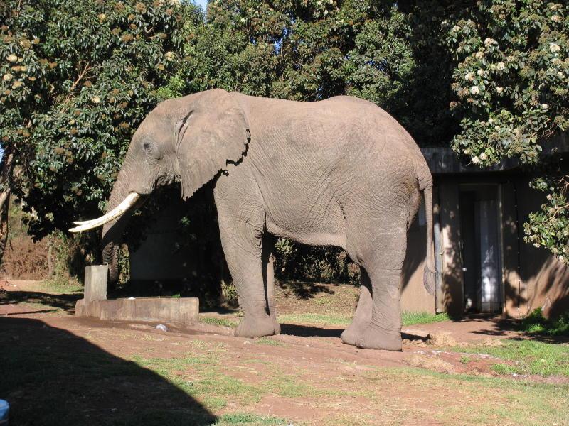 Ngorongoro_1291