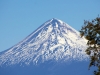 Vulkan-Tolhuaca-6722