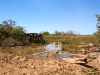 Pantanal_Nord_2015-067.jpg