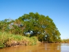 Pantanal_Nord_baadtur_2015-026.jpg