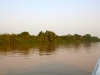 Pantanal-nord-Jaguartur-002