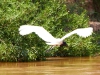 Pantanal-nord-Jaguartur-084