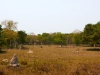Pantanal-nord-021