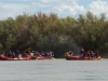 Rafting-Colorado-river-037