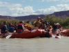 Rafting-Colorado-river-042