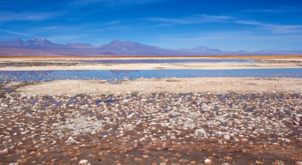 Laguna-de-Piedra-7312