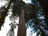 Sequoia-and-Kings-Canyon-NP-014