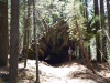 Sequoia-and-Kings-Canyon-NP-097