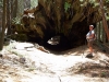 Sequoia-and-Kings-Canyon-NP-100