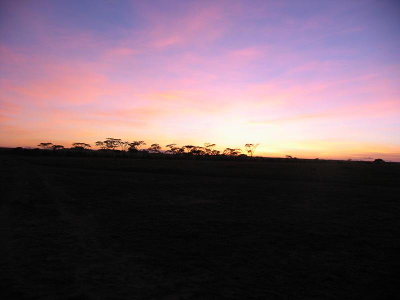 Serengeti_1403