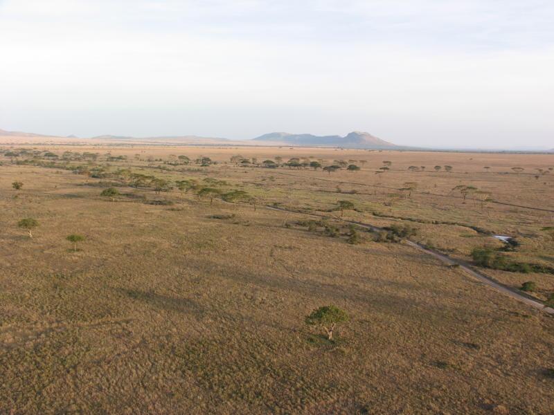 Serengeti_1413