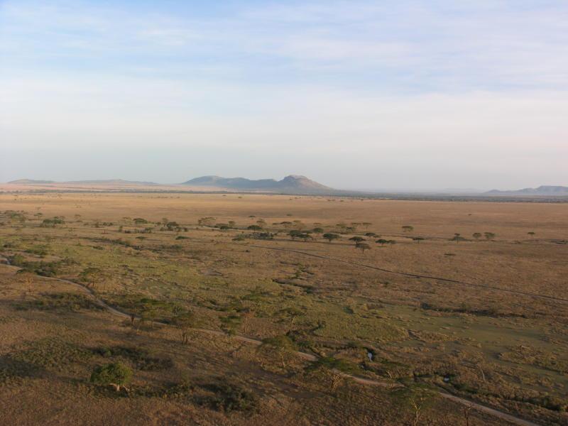 Serengeti_1414