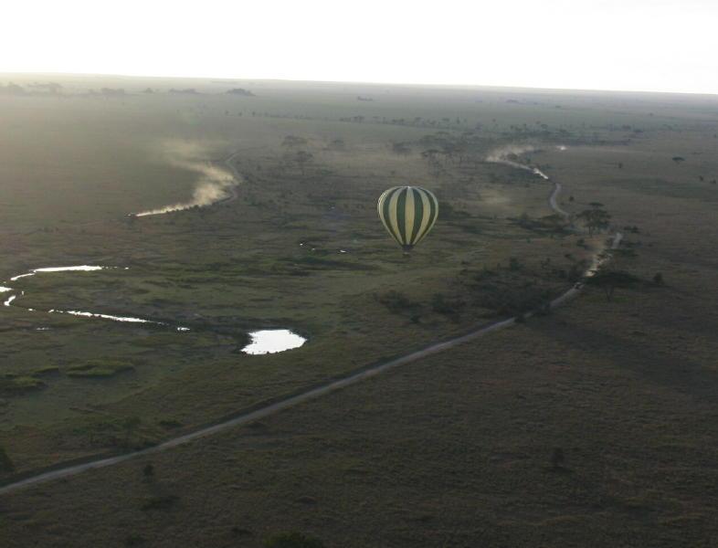 Serengeti_1415