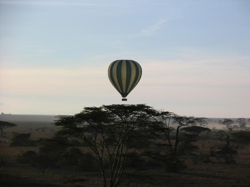 Serengeti_1419