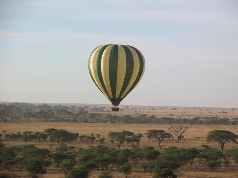 Serengeti_1430