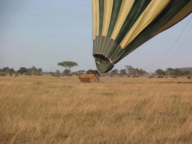 Serengeti_1447