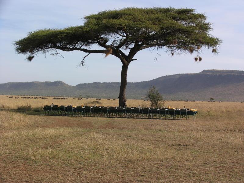 Serengeti_1455