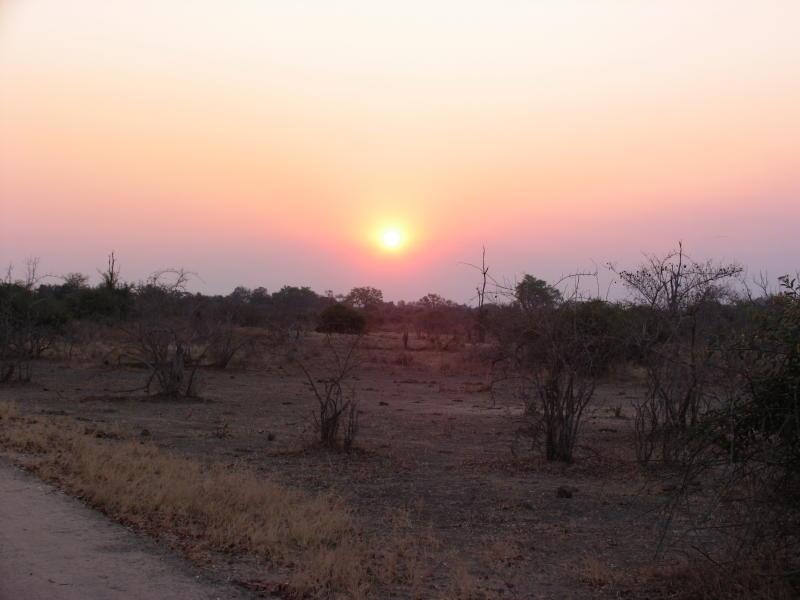 South-Luangwa_0958