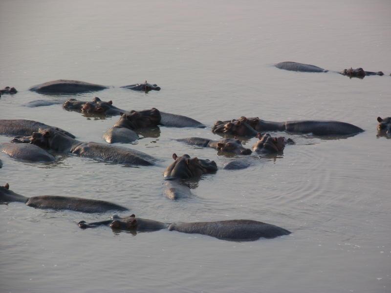 South-Luangwa_0995